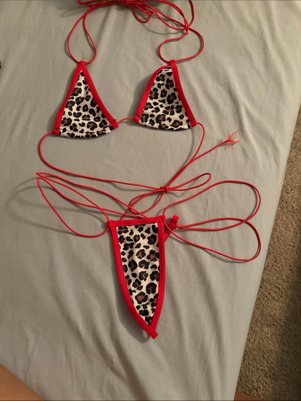 SHEIN Red Leopard Print Triangle String Bikini